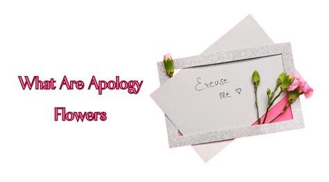 What Are Apology Flowers