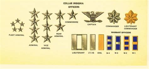 Us Navy Officer Rank Insignia