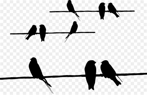 Birds On Wire Silhouette