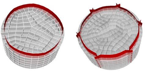 Image showing how a sheet captures the geometric boundary. The picture... | Download Scientific ...