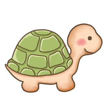 Baby Turtle PNG Transparent Background And Clipart Image For Free ...