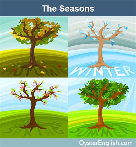 English Seasons & Weather Vocabulary