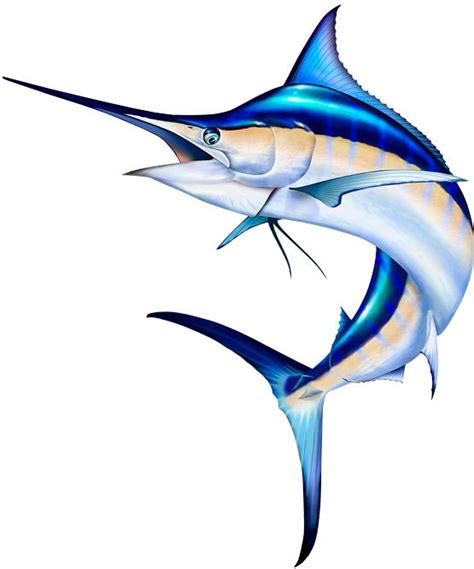 Free Blue Marlin Cliparts, Download Free Blue Marlin Cliparts png images, Free ClipArts on ...