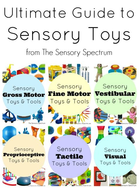 Ultimate Guide to Sensory Toys and Tools for Kids