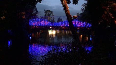 Pukekura Park Festival of Lights - YouTube