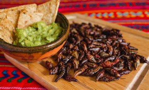 Are You Brave Enough to Try the Spiciest Mexican Dishes? - Mansion ...