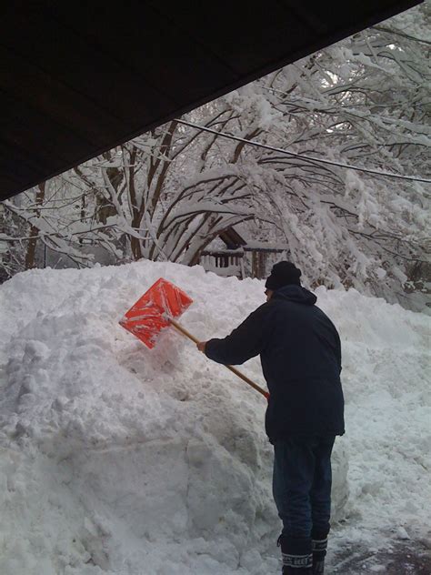 The Cool House: Winter: Scenes from Home