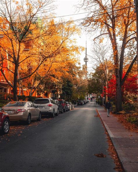 Fall in Toronto | Autumn scenery, Autumn photography, Autumn aesthetic