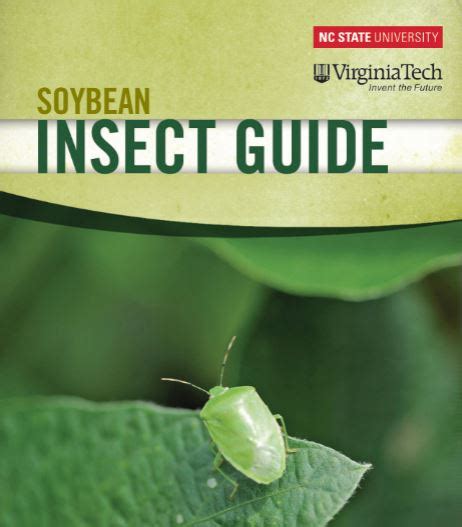 Insect Management - North Carolina SoybeansNorth Carolina Soybeans