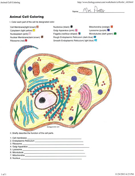 Biologycorner.com Animal Cell Coloring Answer Key - Cell Coloring Worksheets Teaching Resources ...