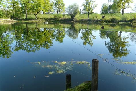 Pond Water Reflection Idyllic - Free photo on Pixabay - Pixabay