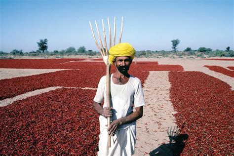 5 ways India must help its farmers face the threat of climate change | Opinion | Eco-Business ...