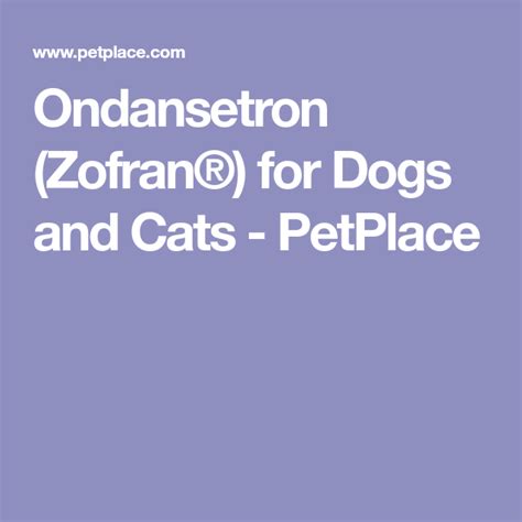 Ondansetron (Zofran®) for Dogs and Cats - PetPlace | Dog cat, Zofran, Cats