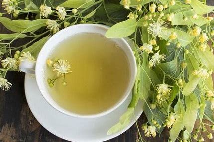 Té de tilo: ¿Para qué sirve? sus beneficios, propiedades y más