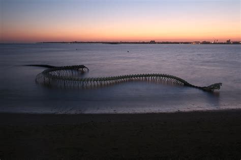 6 pics: Serpent of the Ocean by Huang Yong Ping in Saint-Brevin-les-Pins, France | STREET ART UTOPIA