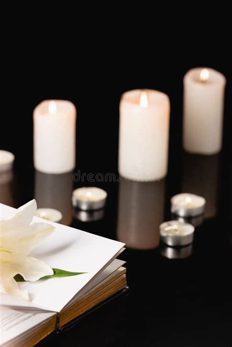 Lily on Holy Bible on Blurred Stock Photo - Image of blur, object: 203241854