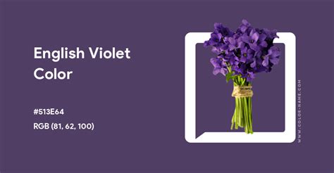 English Violet color hex code is #513E64