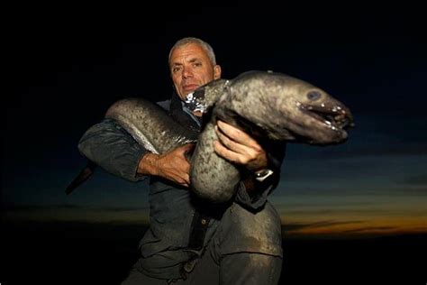 New Zealand Longfin Eel Pictures | River Monsters | Animal Planet