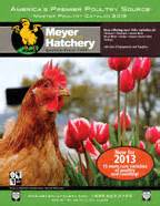 The Official PoultryBookstore.com Blog: More hatchery catalogs