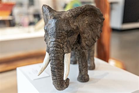 Elephant Sculpture – Grey Raven Gallery