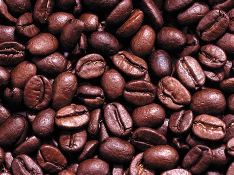 Best Coffee Beans Reddit 2024 - Neila Marcelline
