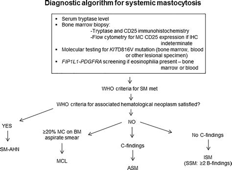 Systemic mastocytosis causes, symptoms, diagnosis, treatment & prognosis