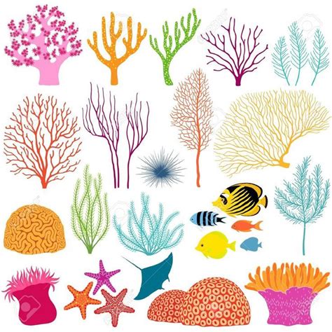 coral reef stencils - Google Search | Sea art, Sea illustration, Design elements