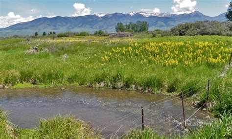 Bridger Mountains near Bozeman Montana - AllTrips