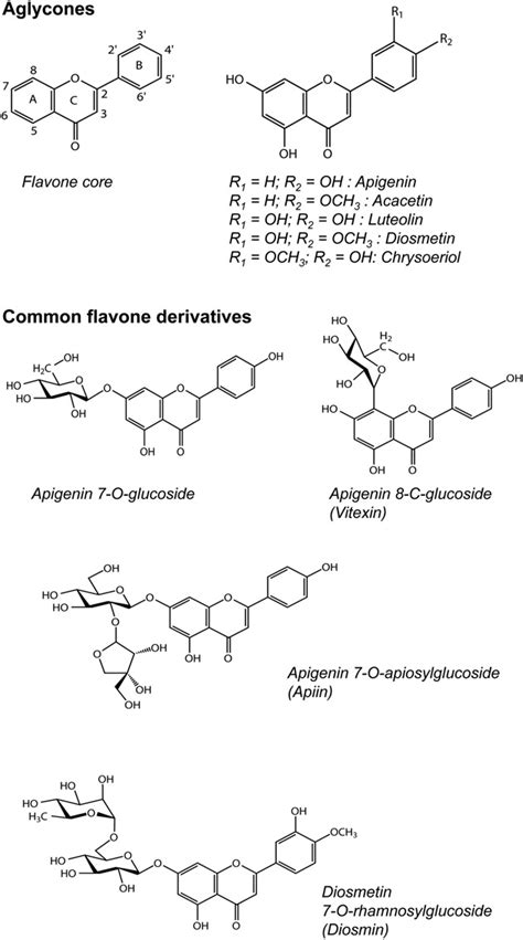 Structures of flavone aglycones and common flavone derivatives. | Download Scientific Diagram