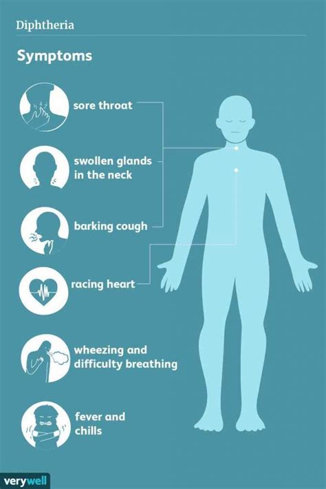 The Complete Guide: Diphtheria, Tetanus and Polio | Westbury Chemist