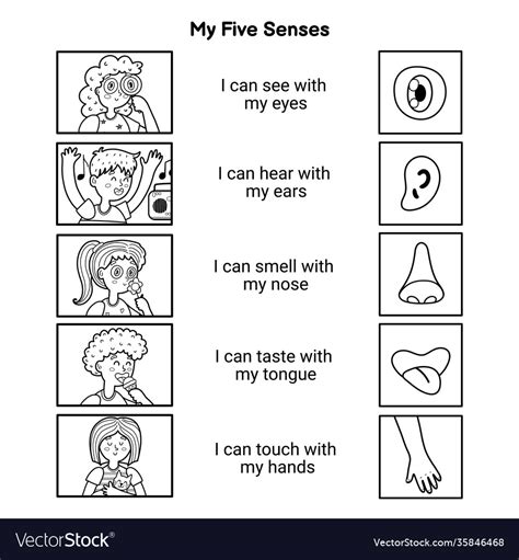 My five senses educational black and white poster Vector Image