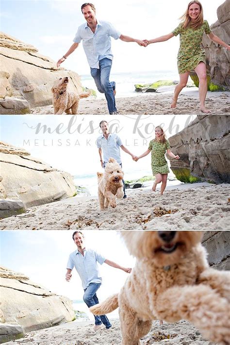 Couple on the beach, photography | Dog photoshoot, Dog photography ...