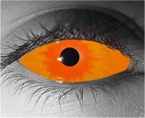 Pumpkinhead Sclera Contact Lenses - Pair - Hand Painted FX Lenses - Exotic Lenses