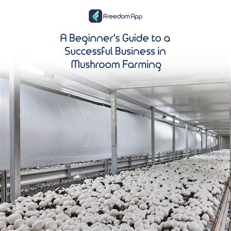 Steps involved in starting a profitable mushroom farm in India.