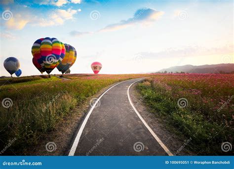 Singha Park Balloon Fiesta 2017 Stock Image - Image of colors, festival: 100695051