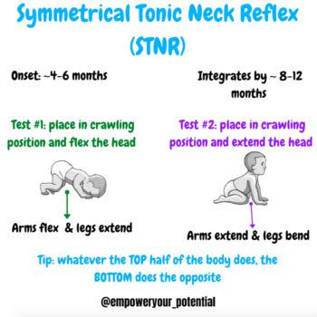 Symmetrical Tonic Neck Reflex (STNR) - PDF Poster by Empower your pOTential