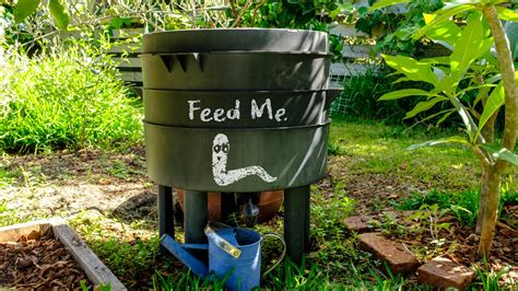 Compost bin craving worms? Find the creepy crawlers at these spots