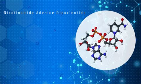 Boosting intracellular NAD levels: An interview with Dr. Jin-Xiong She ...