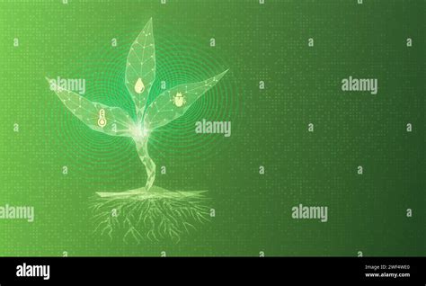 Plant Stress Measurement and Plant Health Analysis - Quantification and ...