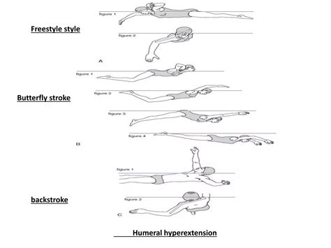 Biomechanics Of Swimming | PPT