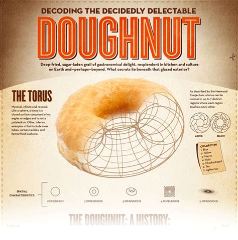 Infographic: The Decidedly Delectable DOUGHNUT - Orbit Books