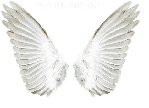 Free Angel Wings Png Download Free Angel Wings Png Png Images Free ...