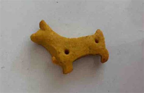 Gluten-Free Homemade Dog Treats Guaranteed to Make Tails Wag!