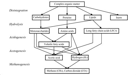 Anaerobic Digestion process flow chart. | Download Scientific Diagram