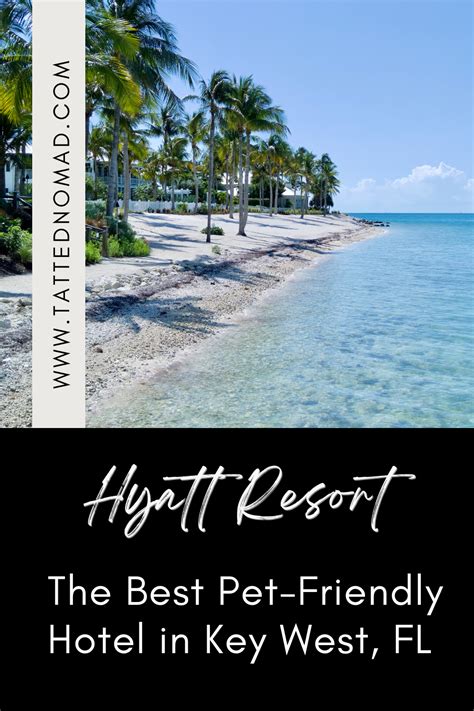 Hyatt Resort - The Best Pet-Friendly Hotel in Key West, FL in 2022 ...