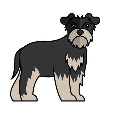 Schnauzer Vector Art, Icons, and Graphics for Free Download