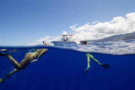 Swim with Dolphins on Oahu - Oahu Dolphin Swim