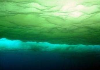 Arctic Ocean Plankton Blooms Beneath The Ice - Russ George