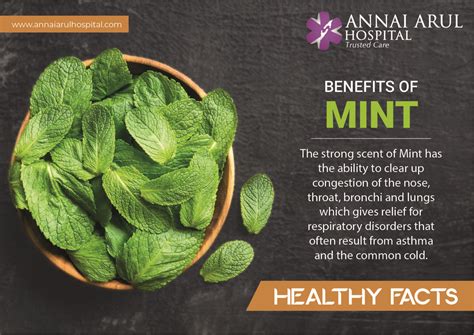 Benefits of Mint – Multispeciality Hospitals in Chennai