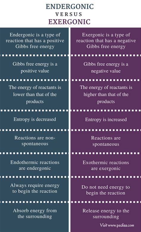 Difference Between Endergonic and Exergonic | Definition, Explanation with Thermodynamics